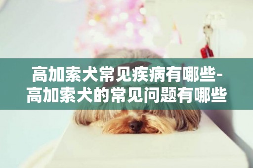 高加索犬常見疾病有哪些-高加索犬的常見問題有哪些