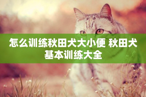 怎么訓練秋田犬大小便 秋田犬基本訓練大全