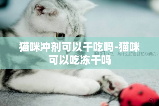 貓咪沖劑可以干吃嗎-貓咪可以吃凍干嗎