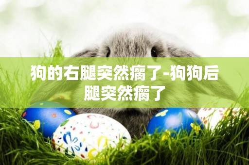狗的右腿突然瘸了-狗狗后腿突然瘸了