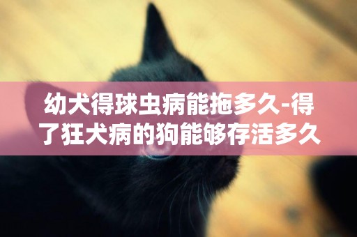 幼犬得球蟲病能拖多久-得了狂犬病的狗能夠存活多久