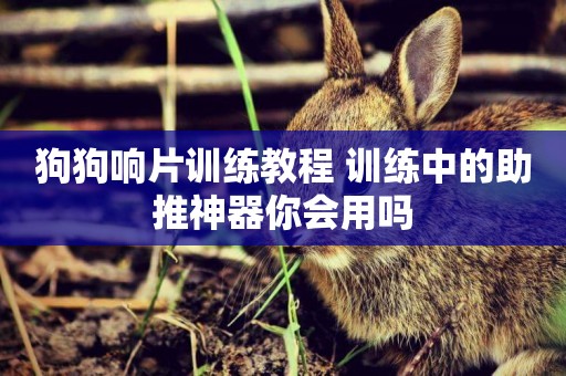 狗狗響片訓練教程 訓練中的助推神器你會用嗎
