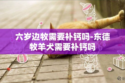 六歲邊牧需要補鈣嗎-東德牧羊犬需要補鈣嗎
