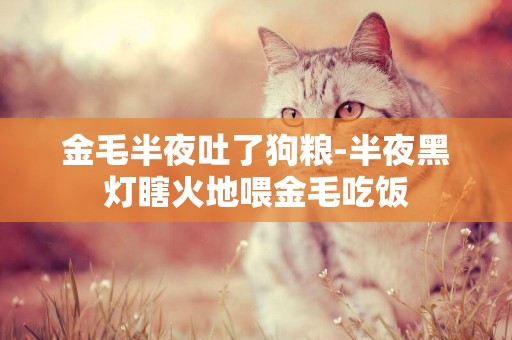 金毛半夜吐了狗糧-半夜黑燈瞎火地喂金毛吃飯