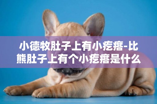 小德牧肚子上有小疙瘩-比熊肚子上有個小疙瘩是什么