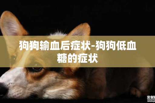 狗狗輸血后癥狀-狗狗低血糖的癥狀
