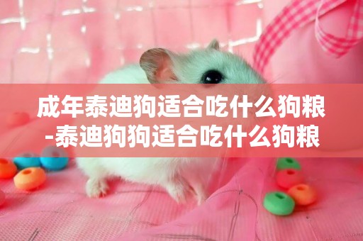 成年泰迪狗適合吃什么狗糧-泰迪狗狗適合吃什么狗糧