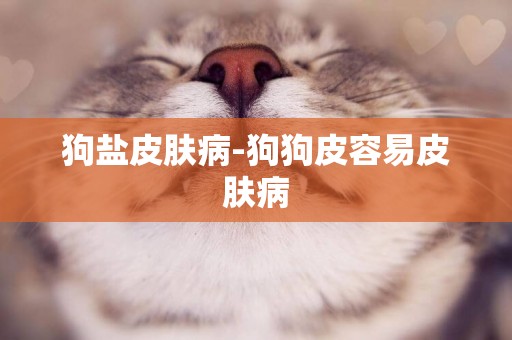 狗鹽皮膚病-狗狗皮容易皮膚病