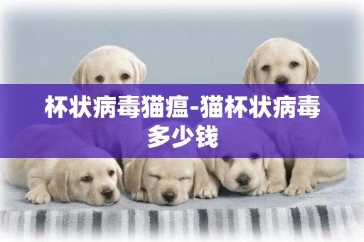 杯狀病毒貓瘟-貓杯狀病毒多少錢