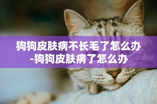 狗狗皮膚病不長毛了怎么辦-狗狗皮膚病了怎么辦