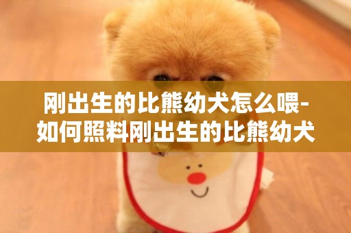 剛出生的比熊幼犬怎么喂-如何照料剛出生的比熊幼犬