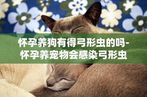 懷孕養狗有得弓形蟲的嗎-懷孕養寵物會感染弓形蟲