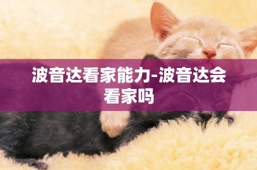 波音達看家能力-波音達會看家嗎