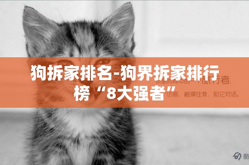 狗拆家排名-狗界拆家排行榜“8大強者”