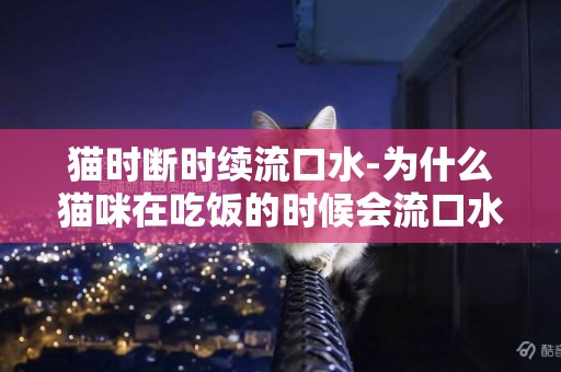貓時斷時續流口水-為什么貓咪在吃飯的時候會流口水
