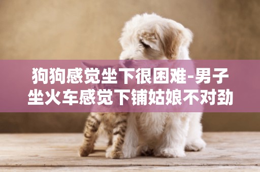 狗狗感覺坐下很困難-男子坐火車感覺下鋪姑娘不對勁