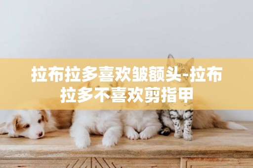 拉布拉多喜歡皺額頭-拉布拉多不喜歡剪指甲