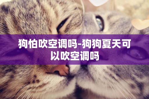 狗怕吹空調嗎-狗狗夏天可以吹空調嗎