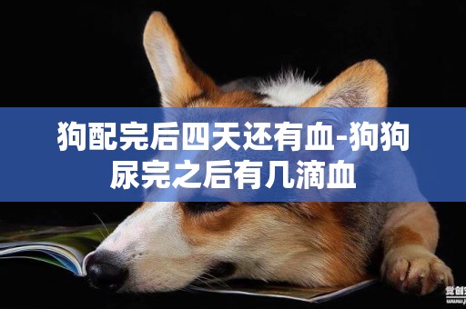 狗配完后四天還有血-狗狗尿完之后有幾滴血