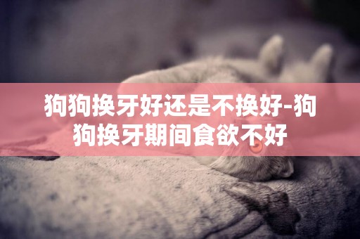 狗狗換牙好還是不換好-狗狗換牙期間食欲不好