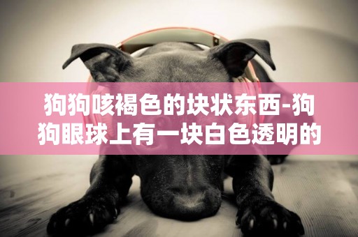 狗狗咳褐色的塊狀東西-狗狗眼球上有一塊白色透明的東西