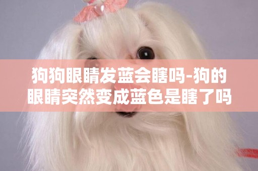 狗狗眼睛發藍會瞎嗎-狗的眼睛突然變成藍色是瞎了嗎