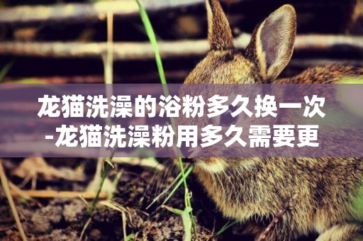 龍貓洗澡的浴粉多久換一次-龍貓洗澡粉用多久需要更換