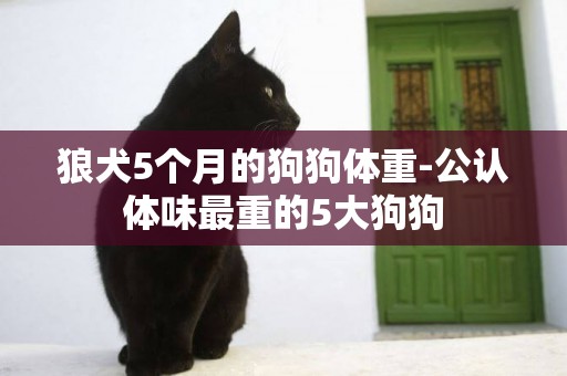 狼犬5個月的狗狗體重-公認體味最重的5大狗狗