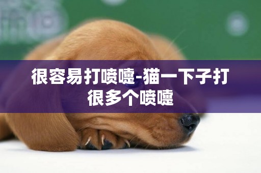 很容易打噴嚏-貓一下子打很多個噴嚏