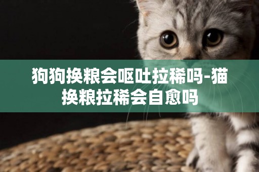 狗狗換糧會嘔吐拉稀嗎-貓換糧拉稀會自愈嗎