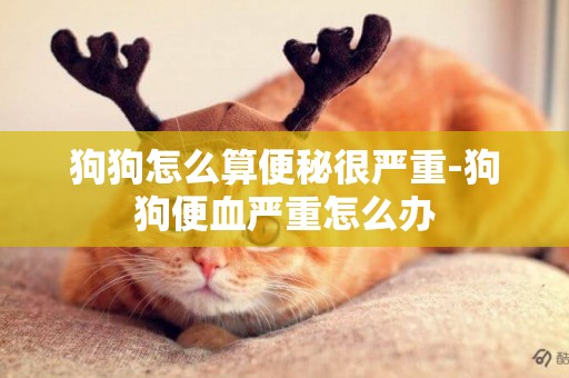 狗狗怎么算便秘很嚴重-狗狗便血嚴重怎么辦