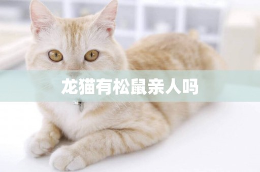 龍貓有松鼠親人嗎