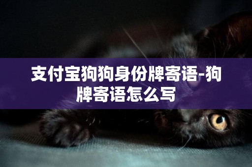 支付寶狗狗身份牌寄語-狗牌寄語怎么寫