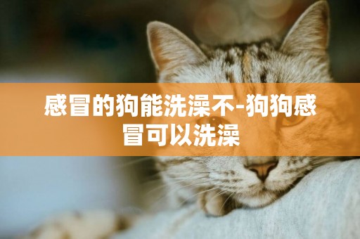 感冒的狗能洗澡不-狗狗感冒可以洗澡