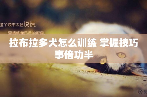 拉布拉多犬怎么訓練 掌握技巧事倍功半