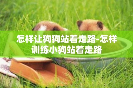怎樣讓狗狗站著走路-怎樣訓練小狗站著走路