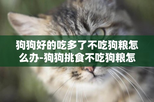 狗狗好的吃多了不吃狗糧怎么辦-狗狗挑食不吃狗糧怎么辦
