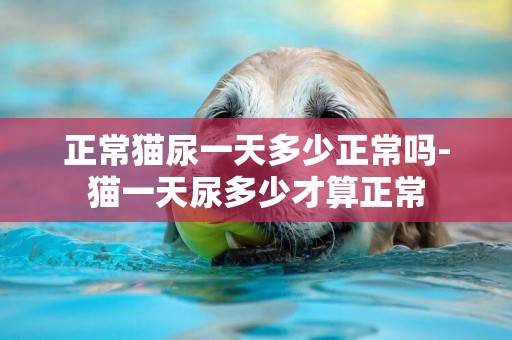 正常貓尿一天多少正常嗎-貓一天尿多少才算正常