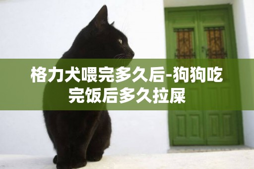 格力犬喂完多久后-狗狗吃完飯后多久拉屎