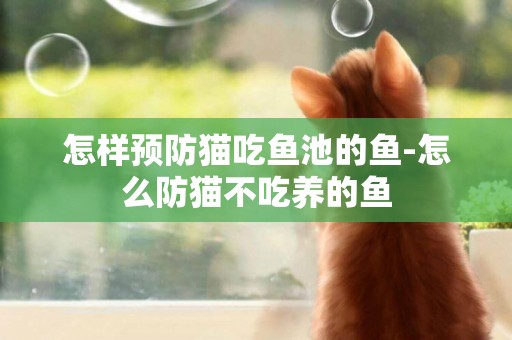 怎樣預防貓吃魚池的魚-怎么防貓不吃養的魚