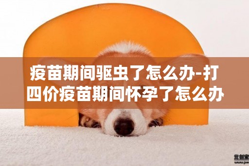 疫苗期間驅蟲了怎么辦-打四價疫苗期間懷孕了怎么辦