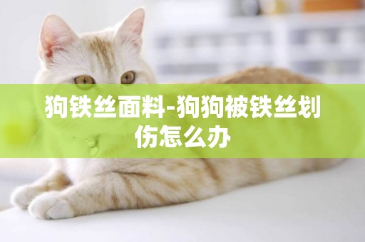 狗鐵絲面料-狗狗被鐵絲劃傷怎么辦