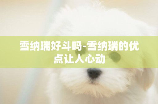 雪納瑞好斗嗎-雪納瑞的優點讓人心動