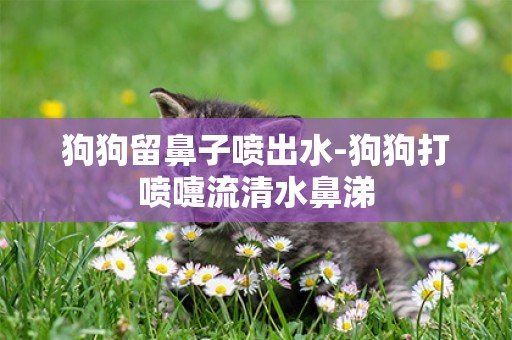 狗狗留鼻子噴出水-狗狗打噴嚏流清水鼻涕