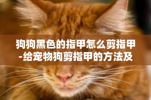 狗狗黑色的指甲怎么剪指甲-給寵物狗剪指甲的方法及注意事項