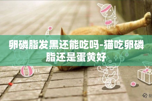 卵磷脂發黑還能吃嗎-貓吃卵磷脂還是蛋黃好