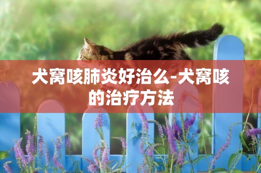 犬窩咳肺炎好治么-犬窩咳的治療方法