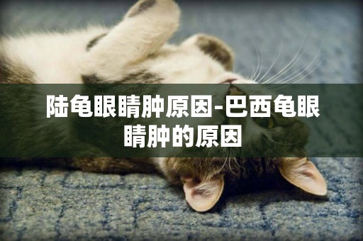 陸龜眼睛腫原因-巴西龜眼睛腫的原因