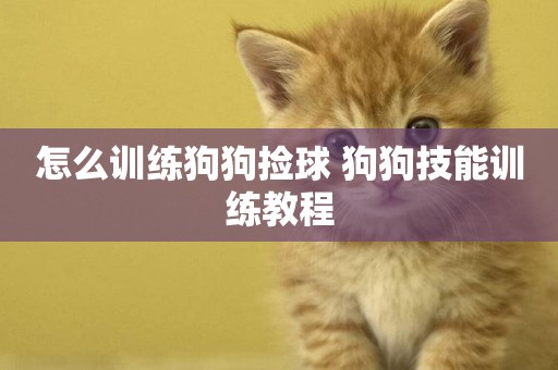 怎么訓練狗狗撿球 狗狗技能訓練教程