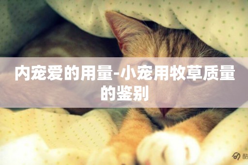 內寵愛的用量-小寵用牧草質量的鑒別